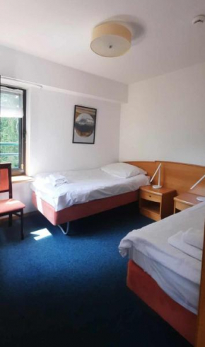 APARTAMENT w KORONIE drzew
